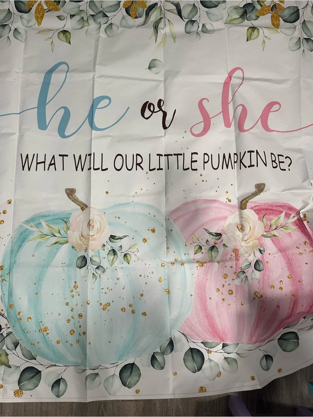 Gender Reveal Pumpkin Backdrop - Blue and Pink 7x5ft
